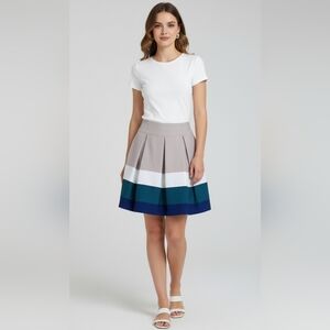 ZARA Pleated Colorblock Skirt